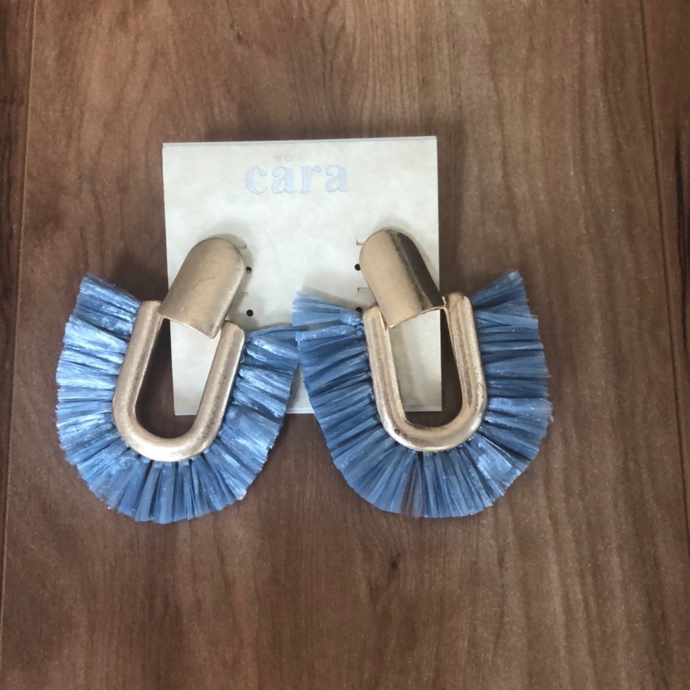 💖HP 4/6💖Cara light blue tassel  earrings.